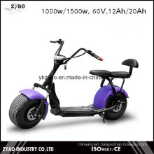 1000W 60V 12ah City Bike with Ce From China Factory